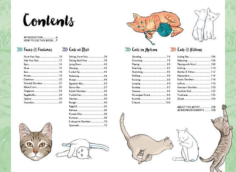 10 Step Drawing: Cats: Draw Over 50 Fabulous Felines in 10 Easy Steps - Retail Maharaj