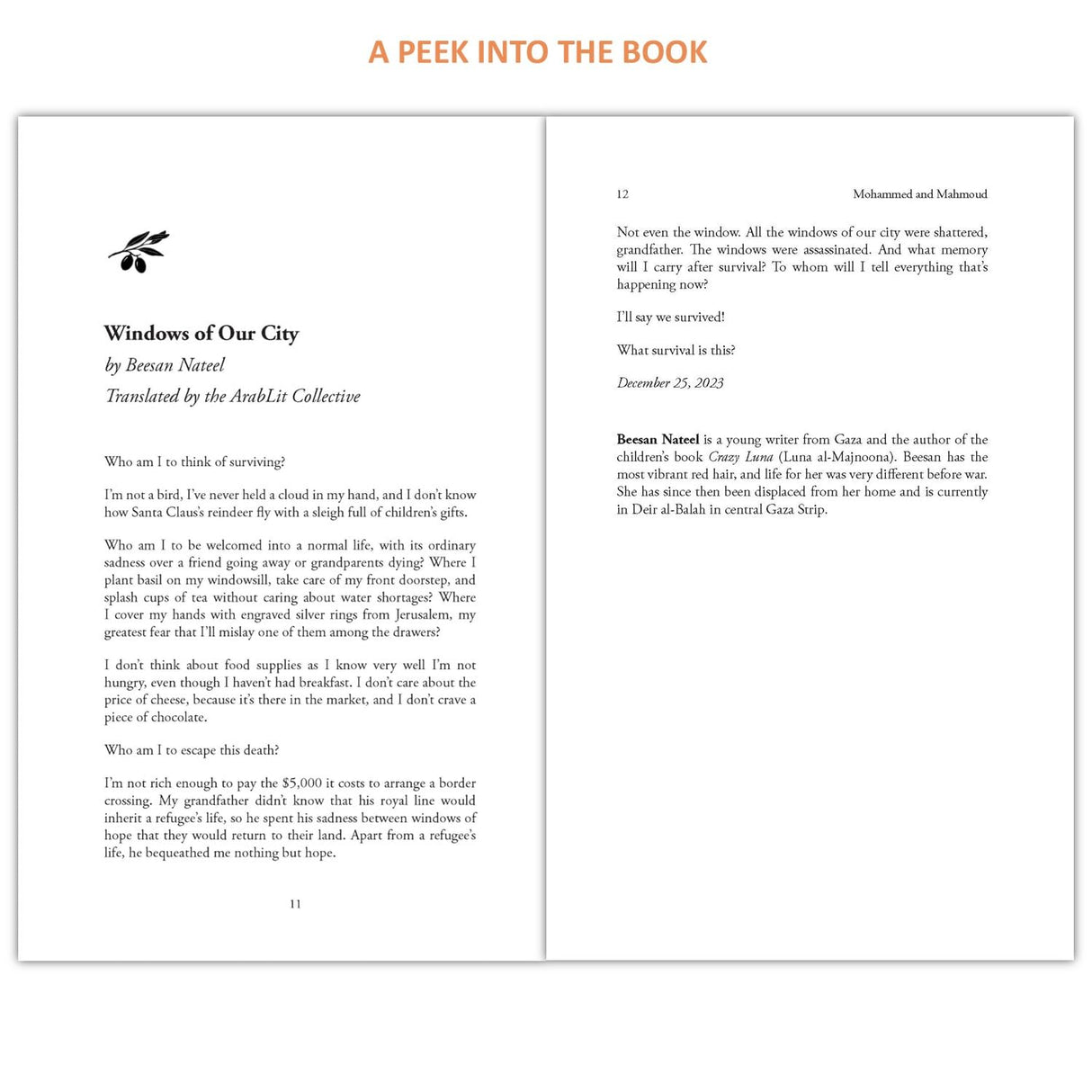 Letters from Gaza - Retail Maharaj
