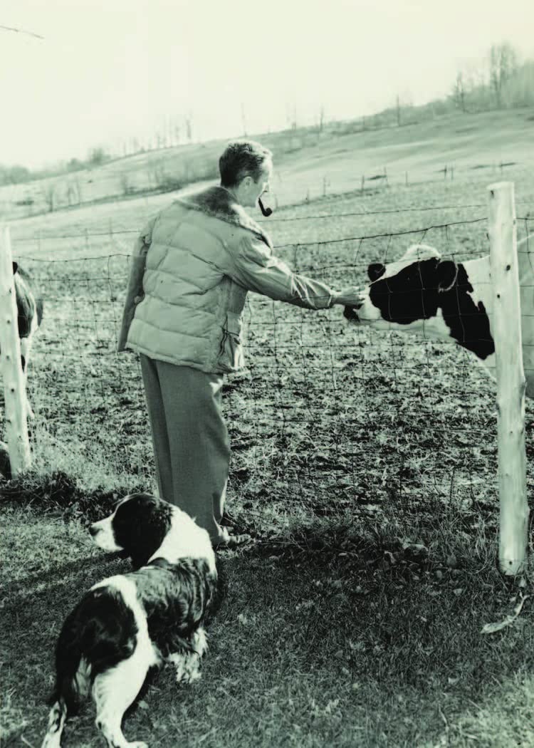 Faithful Friends: Norman Rockwell and His Dogs - Retail Maharaj