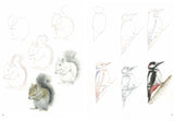 How to Draw Woodland Animals In Simple Steps - Retail Maharaj