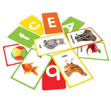 Amazing Flash Cards Alphabet: Early Development of Preschool Toddler (55 Cards) - Retail Maharaj