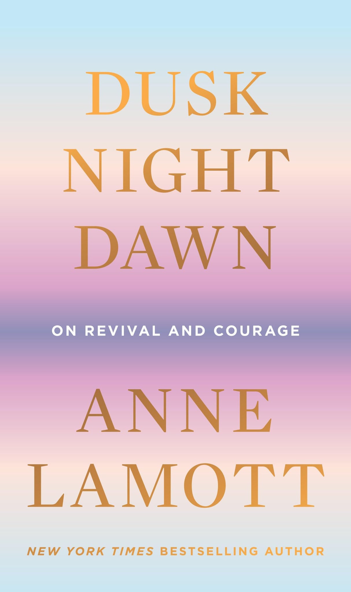 Dusk, Night, Dawn: On Revival and Courage - Retail Maharaj