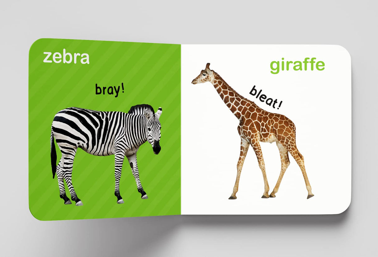 My First Book of Touch And Feel - Wild Animals : Touch And Feel Board Book For Children - Retail Maharaj