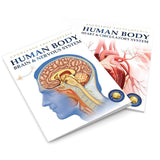 Human Body Box Set: Knowledge Encyclopedia For Children - Retail Maharaj