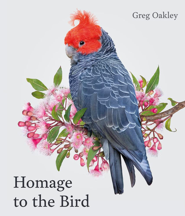 Homage to the Bird - Retail Maharaj