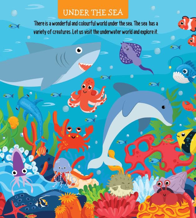 Booktopus Board Book - My First 100 Animals - Early Learning Books for Kids - Picture Books for Baby 4+ Years (My First 100 Board Book) - Retail Maharaj