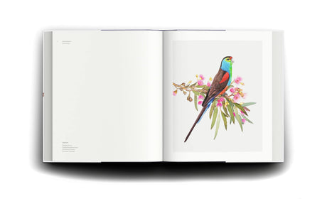 Homage to the Bird - Retail Maharaj