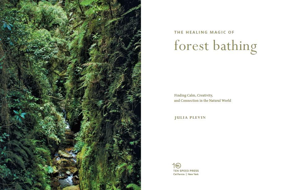 The Healing Magic of Forest Bathing: Finding Calm, Creativity, and Connection in the Natural World - Retail Maharaj