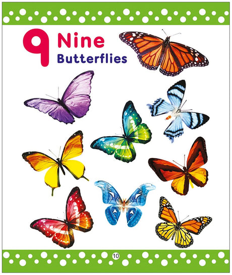 My Preschool Board Books (Gift Pack Of 6 Books): Boxset For Kids | Learning Gift Set | Early Learning Books For Babies, Toddlers & Preschool Kids | Includes Alphabet, Numbers, First Words & Much More | age 2+ | {Hardbound} | Young Learner Publications - Retail Maharaj