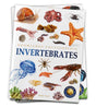 Animals - Invertebrates : Knowledge Encyclopedia For Children - Retail Maharaj