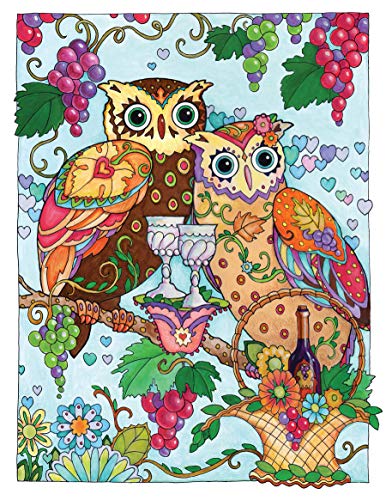 SARNAT-CREATIVE HAVEN OWLS CB - Retail Maharaj