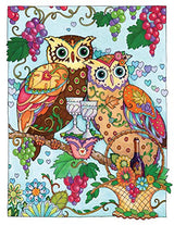 SARNAT-CREATIVE HAVEN OWLS CB - Retail Maharaj