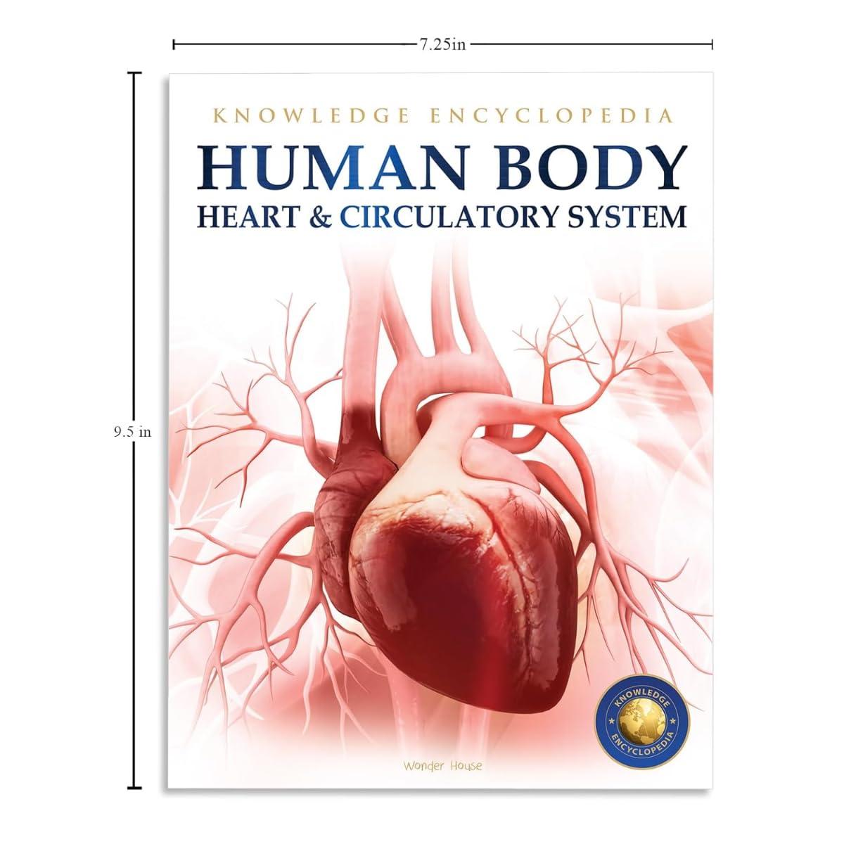 Human Body Box Set: Knowledge Encyclopedia For Children - Retail Maharaj