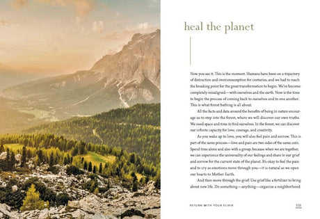 The Healing Magic of Forest Bathing: Finding Calm, Creativity, and Connection in the Natural World - Retail Maharaj