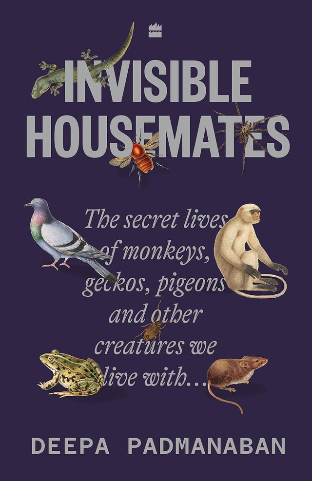 Invisible Housemates - Retail Maharaj