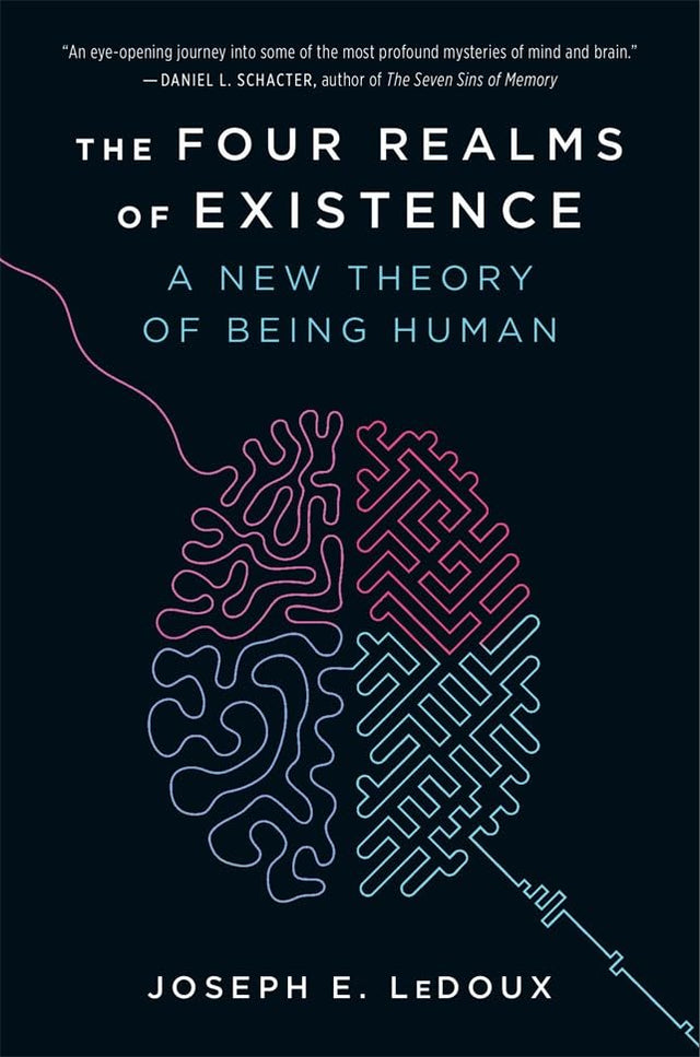 The Four Realms of Existence : A New Theory of Being Human - Retail Maharaj