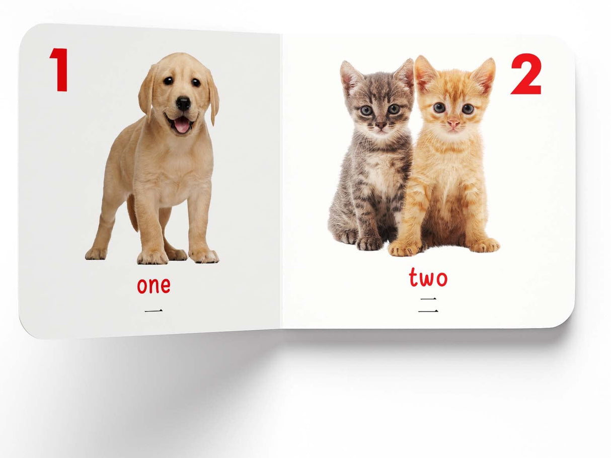 My First English-Chinese Learning Library : Bilingual Boxset of 10 Picture Board Books for Kids - Retail Maharaj