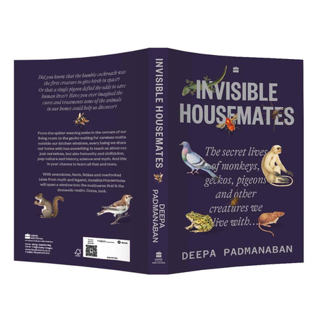 Invisible Housemates - Retail Maharaj