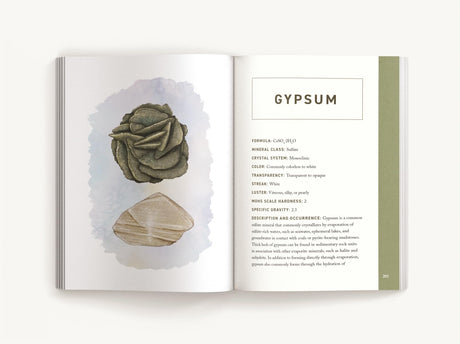 Rocks & Minerals: An Illustrated Field Guide - Retail Maharaj