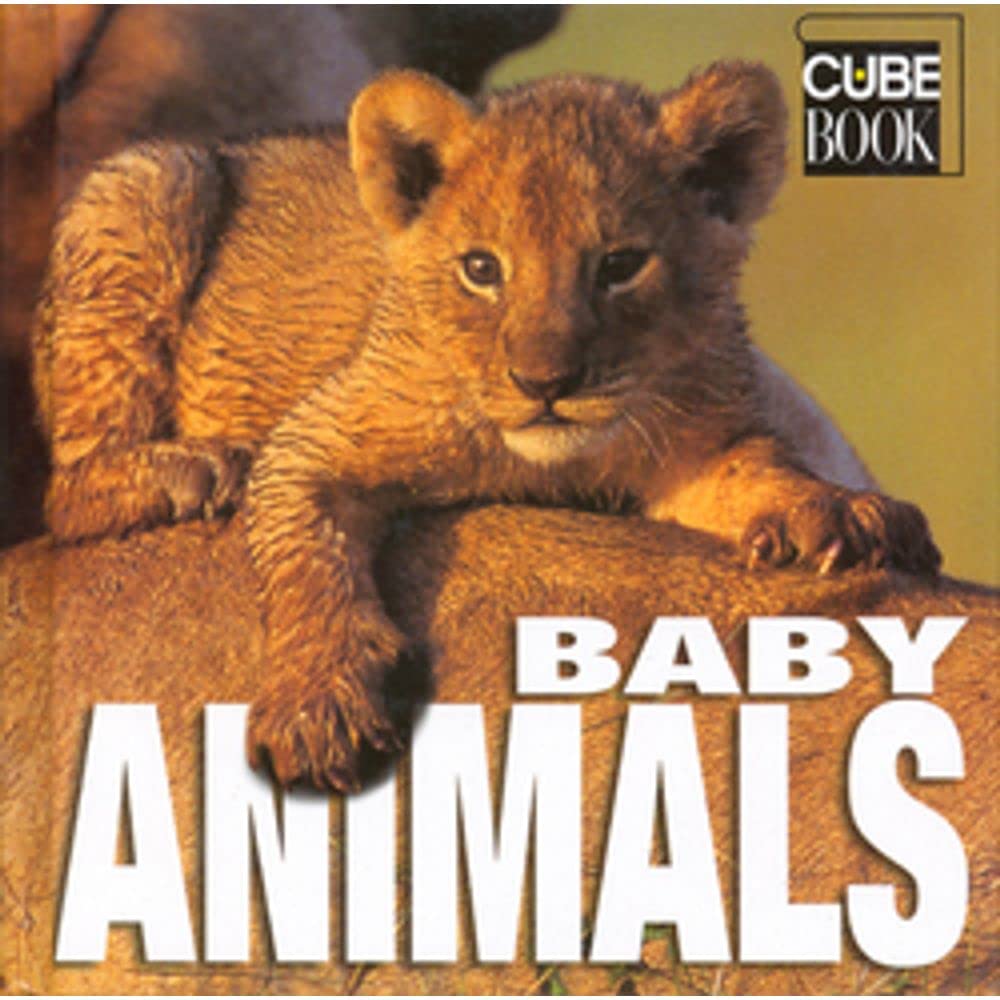 Baby Animals - Retail Maharaj