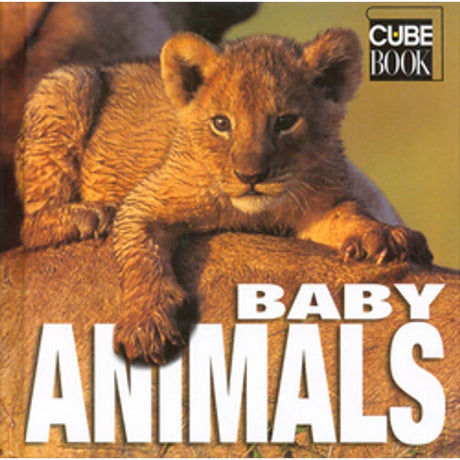 Baby Animals - Retail Maharaj