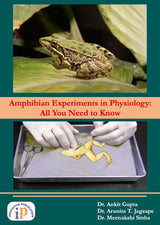 Amphibian Experiments in Physiology: All You Need to Know - Retail Maharaj