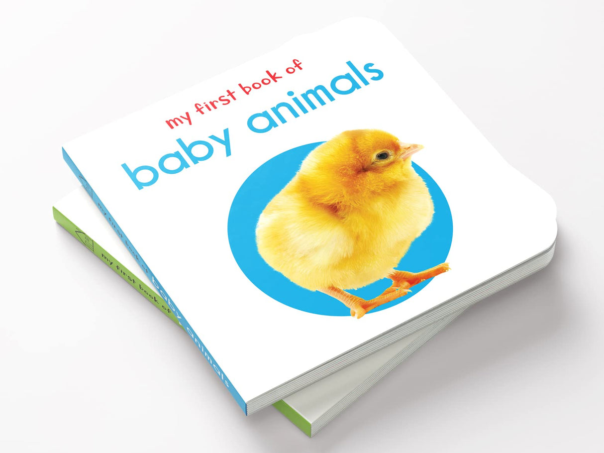 My First Book of Baby Animals | First Animal Board Book for Babies, Toddlers & Preschoolers | Learn About Cute Baby Animals with Bright, Adorable Pictures | Early Learning Book for Kids Ages 0-3 Years - Retail Maharaj