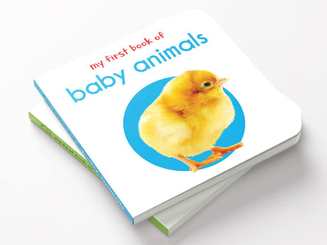 My First Book of Baby Animals | First Animal Board Book for Babies, Toddlers & Preschoolers | Learn About Cute Baby Animals with Bright, Adorable Pictures | Early Learning Book for Kids Ages 0-3 Years - Retail Maharaj