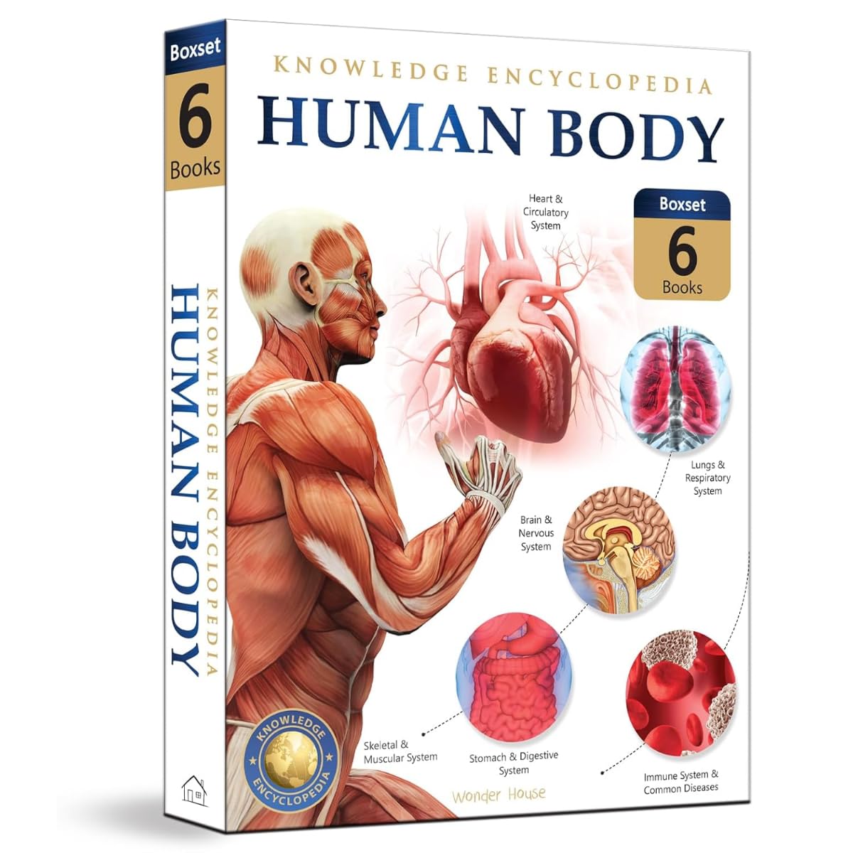 Human Body Box Set: Knowledge Encyclopedia For Children - Retail Maharaj