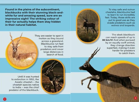 INDIA’S FASTEST ANIMALS : Wild About India - Engaging Book for Kids (Ages 5-15) - Fun Facts, Trivia Questions and Answers to Teach Your Children about the Animal Kingdom - Retail Maharaj