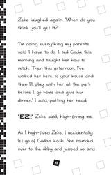 Diary Of A Roblox Pro #02: Dragon Pet - Retail Maharaj