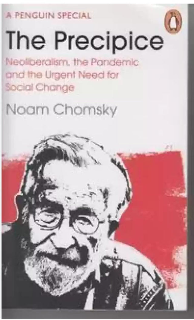 The Precipice Nioliberalism The Pandemic And The Urgent Need For Social Change - Retail Maharaj