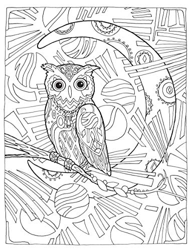 SARNAT-CREATIVE HAVEN OWLS CB - Retail Maharaj