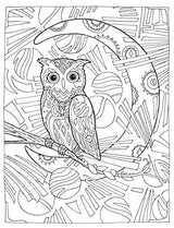 SARNAT-CREATIVE HAVEN OWLS CB - Retail Maharaj