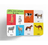 My First 4 in 1: Wild Animals, Pet & Farm Animals, Birds, Sea Animals | Padded Board Book for Kids | Learn About Different Animals with Bright, Engaging Pictures | Early Learning Book for Babies, Toddlers & Preschoolers | Ages 0–5 Years - Retail Maharaj