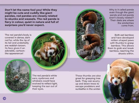 INDIA’S MOST BEAUTIFUL ANIMALS : Wild About India - Engaging Book for Kids (Ages 5-15) - Fun Facts, Trivia Questions and Answers to Teach Your Children about the Animal Kingdom - Retail Maharaj