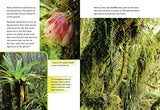 Cloud Forest: Band 11/Lime (Collins Big Cat) - Retail Maharaj