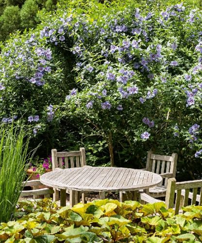 The Gardens of the Hamptons - Retail Maharaj