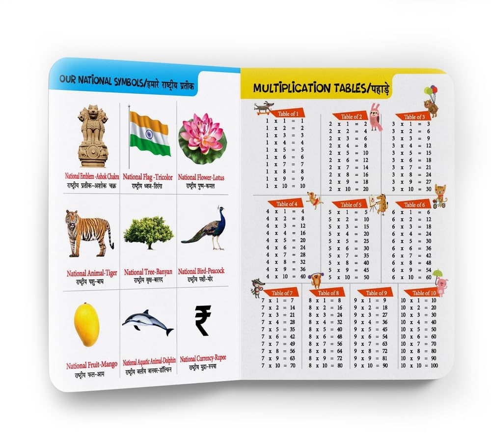My First All-in-One (English–Hindi): Bilingual Picture Board Book for Kids | Learn ABC, Numbers, Colors, Shapes & More in English and Hindi | Early Learning Book for Babies, Toddlers & Preschoolers | Ages 0–5 Years - Retail Maharaj