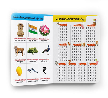 My First All-in-One (English–Hindi): Bilingual Picture Board Book for Kids | Learn ABC, Numbers, Colors, Shapes & More in English and Hindi | Early Learning Book for Babies, Toddlers & Preschoolers | Ages 0–5 Years - Retail Maharaj