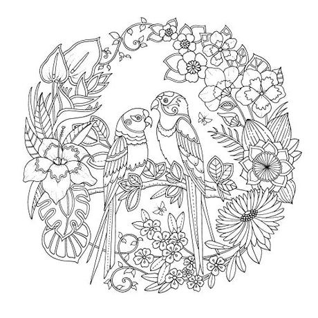 Magical Jungle: An Inky Expedition & Colouring Book - Retail Maharaj