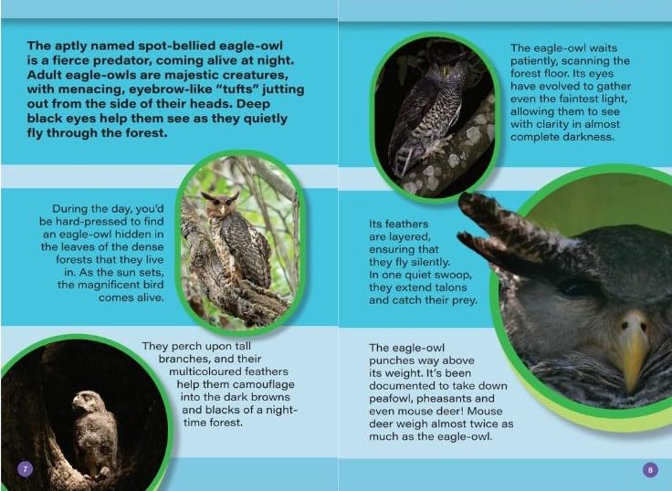 INDIA’S COOLEST NOCTURNAL ANIMALS : Wild About India - Engaging Book for Kids (Ages 5-15) - Fun Facts, Trivia Questions and Answers to Teach Your Children about the Animal Kingdom - Retail Maharaj