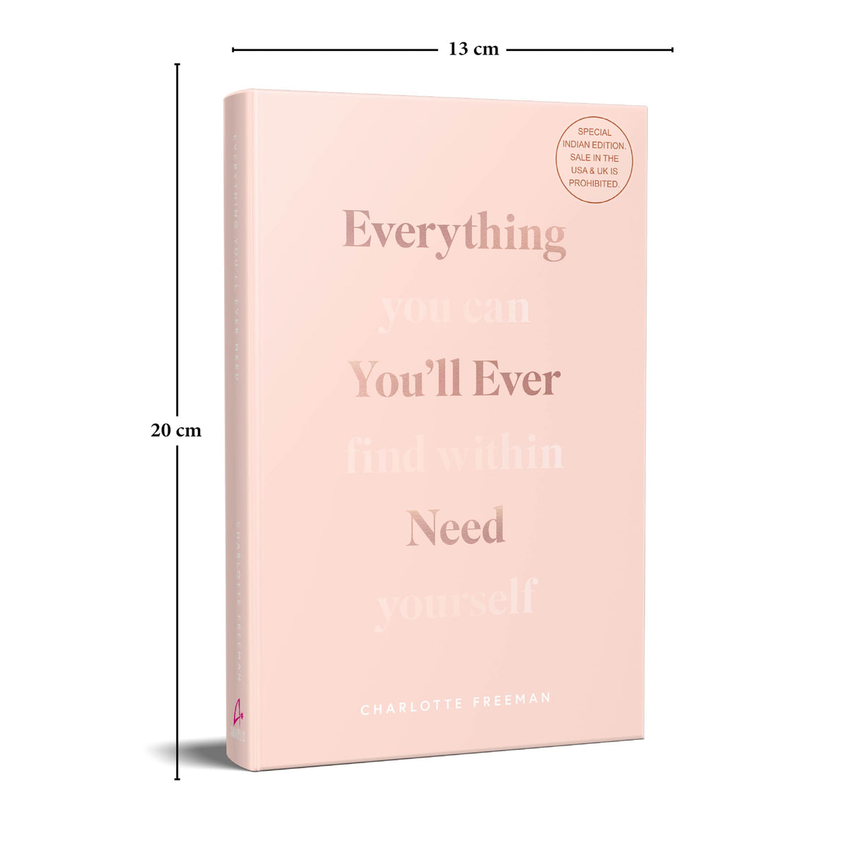 Everything You’ll Ever Need: You Can Find Within Yourself (English) - Retail Maharaj