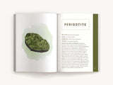 Rocks & Minerals: An Illustrated Field Guide - Retail Maharaj