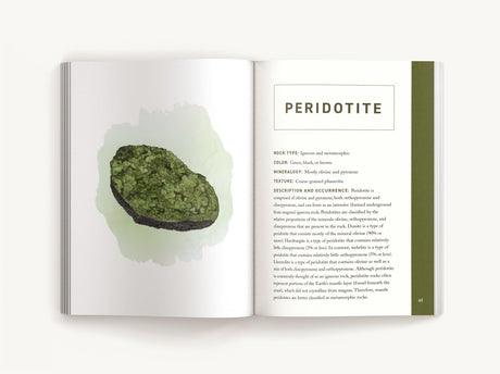 Rocks & Minerals: An Illustrated Field Guide - Retail Maharaj