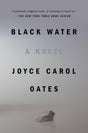 Black Water (Contemporary Fiction, Plume) - Retail Maharaj