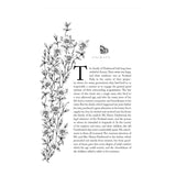 Sense & Sensibility by Jane Austen Cranford Collection Decorative Classic Literature Novel - Retail Maharaj