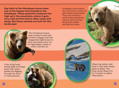 INDIA’S BIGGEST ANIMALS : Wild About India - Engaging Book for Kids (Ages 5-15) - Fun Facts, Trivia Questions and Answers to Teach Your Children about the Animal Kingdom - Retail Maharaj