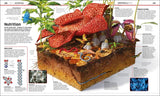 Knowledge Encyclopedia: Science!: Science As You've Never Seen It Before - Retail Maharaj