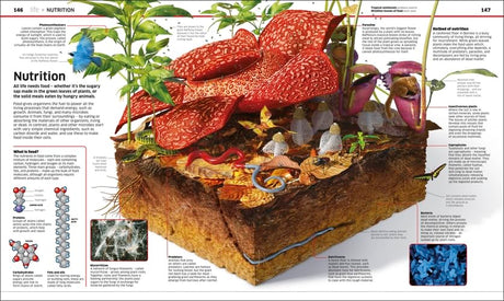 Knowledge Encyclopedia: Science!: Science As You've Never Seen It Before - Retail Maharaj
